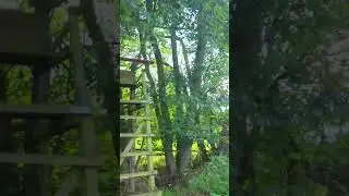 [4K] Explore The Boxberg: 1 Hour Nature Walk [4K] HDR | 60 Minuten auf dem Boxberg in Gotha