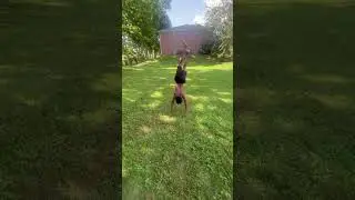 #capcut #flip #tricking #dubcork