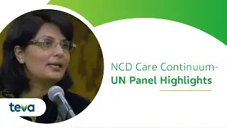 NCD Care Continuum - UN Panel Highlights