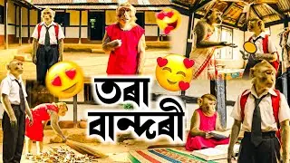 তৰা বান্দৰী 😍❤️ | Deka Bandor's Daughter | Assamese Monkey Vlogger | #vlog #dekabandor 