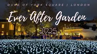 Ever After Garden London 2025 | 30 000 светящихся роз на площади Герцога Йоркского