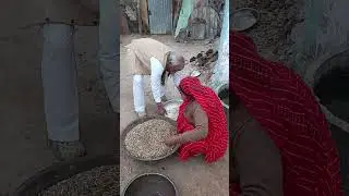Special Video: Milking the Cow with Grandparents 🥛#Grandparents#CowMilking#TraditionalMethod#cowlove