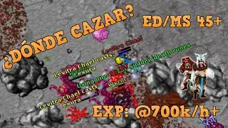 TIBIA - ¿Dónde cazar?: ED/MS SOLO (Level 45+) - WYRMS - (EXP: @700k/h+) [HD Recommended - 1080]