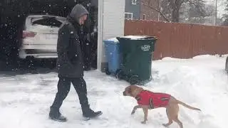 Snow in Lansing, Michigan