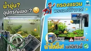 ตู้ปลาขุ่น? จบปัญหาด้วย 