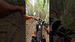 Explorando