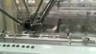 Adept Quattro Reaches 300 Cycles Per Minute
