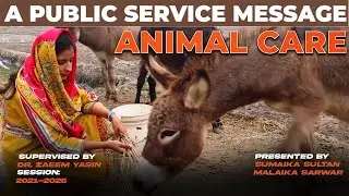 A Public Service Message on Animal Care | Dr. Zaeem Yasin