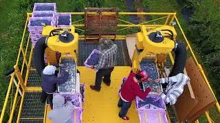Oxbo 7440 Top Load Berry Harvester
