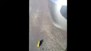fak u pickle episode 2