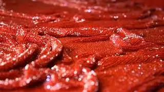 Red shiny fabric of highest quality!