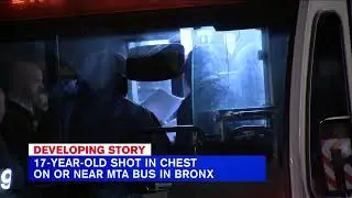 Teen shot in the chest in the Bronx