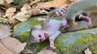Little Lily cried maybe angry to mom Libby push her ....Poor Lily so pity from her mom |