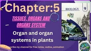 9th biology new book 2025||Chapter5|| organs and organ systems in plants #newsyllabus#biologyclass9