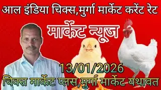 Poultry rate today in up/Poultry rate today/Poultry rate near me/Poultry rate per/Daily poultry rate