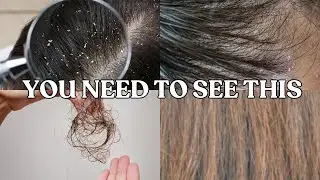 The Only Haircare Routine You Need ✨ Must-Try Tips & Products