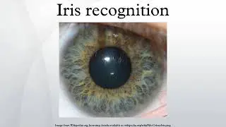 Iris recognition