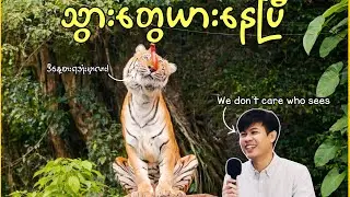 လိုက်လိုက်ဆွဲ ၂