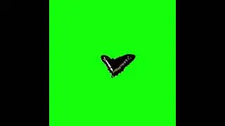 Dark Butterfly/ Green Screen