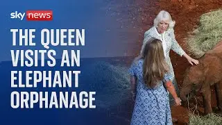 Queen Camilla visits a Kenyan elephant orphanage during state visit