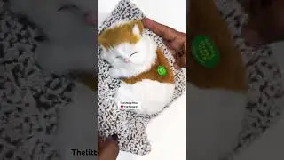 Cute sleeping cat 😻 with sound effects ☎️ 7397188832 #love #gift #artwork #creative #artist #art