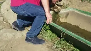 Hamamözü/Arpaderekoyu