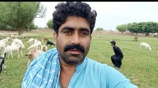 Village environment in dg khan