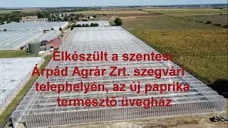Elkészült a szentesi Árpád Agrár Zrt. szegvári telephelyén az új paprika termesztő üvegház