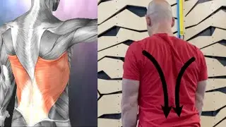 2 Isometric Exercises That Will  Finally Work Your Stubborn Lats
