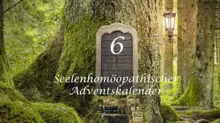 Door 6 - Lachesis - Bushmaster Snake - Soul Homeopathic Advent Calendar