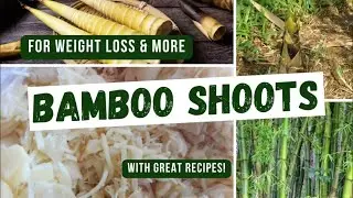 Bamboo Shoots (Labong) and Its Health Benefits