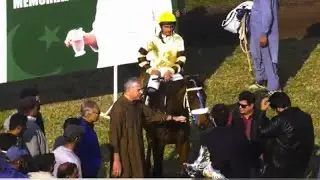 8th Race Saeed Butt Memorial Cup Distance 1200 Meters Winner Qaswa Princess