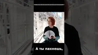 Вот, что будет, если исполнить мечту #alterbooks #litrusreaders #читайalter #literarycommunity