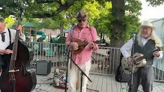 Jolly Jankin String Band at TCMF 18