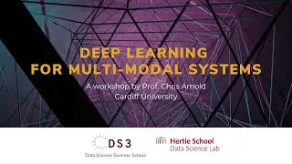 Deep Learning for Multimodel Systems | Data Science Summer School 2023