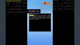 Navigate your Linux Shell