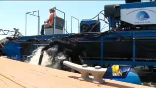 Video: 'Weed shark' battles pesky invasive underwater vegetation