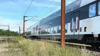 DSB EB - 3202