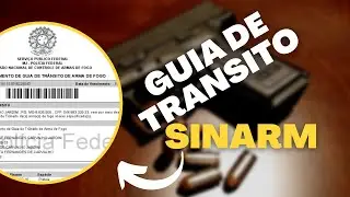Guia de trânsito Sinarm - Como preencher e fazer o pedido ?