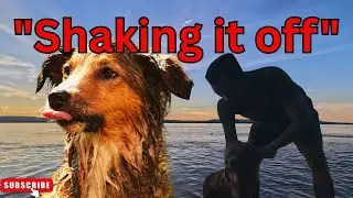 ခွေးချစ်သူတွေအတွက်-ASMR Dog Bathing in the River #DogLovers#PuppyBath#RiverLife#NatureSounds#CuteDog