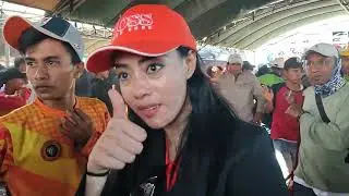 Inilah sapi King Hajar Bos yang sudah lolos ke piala Presiden 2025