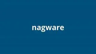 what is the meaning of nagware
