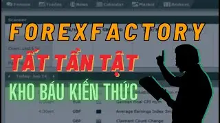 ✅ Hướng Dẫn Tất Tần Tật Về FOREXFACTORY - Kho B&aacute;u Kiến Thức Qu&yacute; Gi&aacute; Cho Trader | TraderViet
