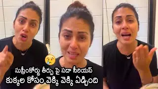 Actress Sadha Serious On Supreme Court Order For Stray Dogs | Actress Sadha Emotional Video
