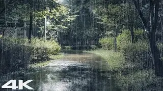 ЗВУКИ ДОЖДЯ ДЛЯ СПАЛЬНОЙ ЧАСТИ. 9. Спите крепко, ночью идет мягкий дождь.