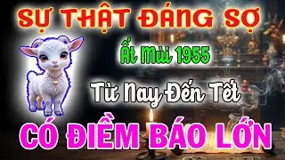 Tử Vi Tuổi Ất Mùi 1955 Từ Nay Đến Tết - Sự Thật 