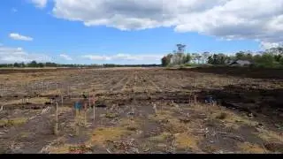MGC Site Construction Update 1312