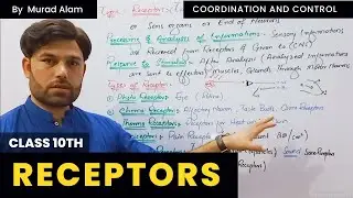 Receptors | Class 10th in Pashto | The Home of Science
