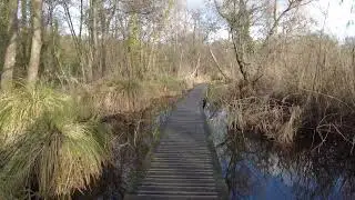 Wandelen rond Kralingse Plas (4K)