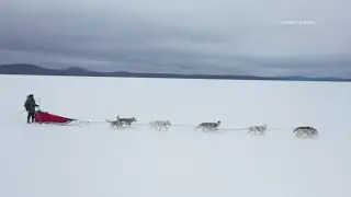 Maine musher and team gear up for 700-mile trek across Alaska